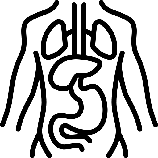 Symbol Oberkörper mit Verdauungsorganen — Magen, Darm und Leber